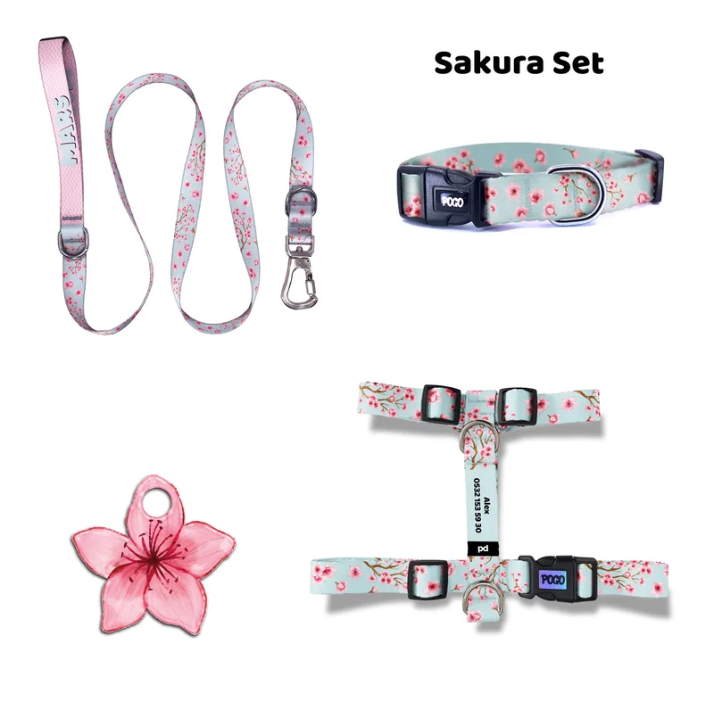 Sakura gerçek TagsForever tasma ve künye seti